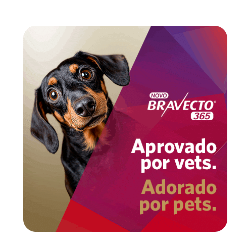 Bravecto Pulgas Sticker by MSD Família Pet