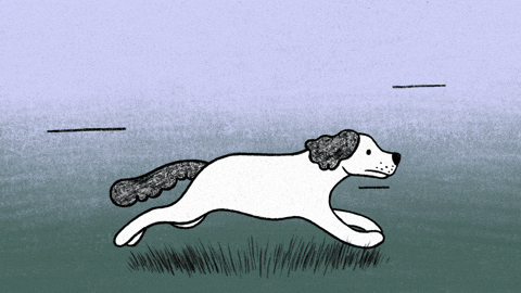 elif demir Clips - Be Animated