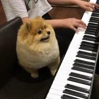 piano
