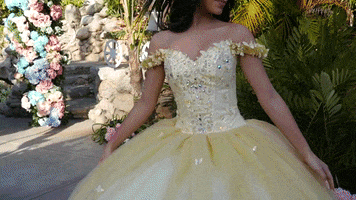 Quince Quinceanera GIF by Moda 2000 Inc