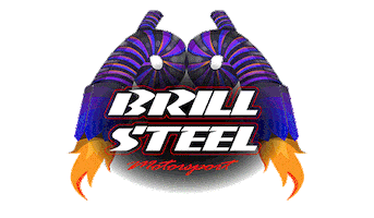 Racing Motorsport Sticker by Brill Steel