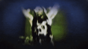 paolasierraneira  GIF