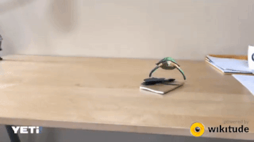 paulamonteiro-b9e0  GIF