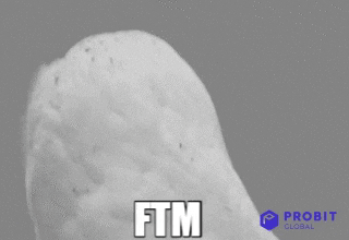 Ftm GIFs - Get the best GIF on GIPHY