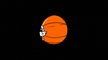 Basketball Wnba GIF
