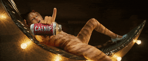 Taylor Swift Catnip GIF by Cats Movie