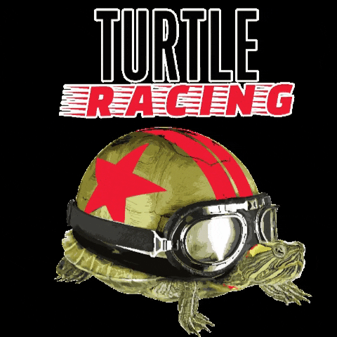 Racing Turtle GIF by LW Brands