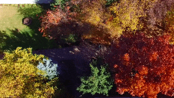 College Fall GIF by Gannon University