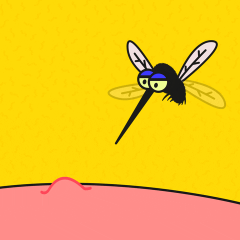 Bite Mosquito GIF by fngrpns - Find & Share on GIPHY