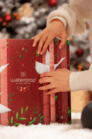 Advent Lastday GIF by waterdrop®