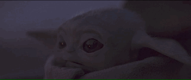 https://media2.giphy.com/media/RH1NoooTMZGyY81jGI/source.gif