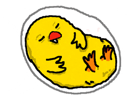Mikbulp chicken egg birth kaimatussik GIF