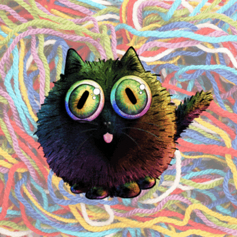 Black Cat GIF