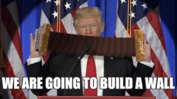 thefieryhash #trump #buildawall GIF