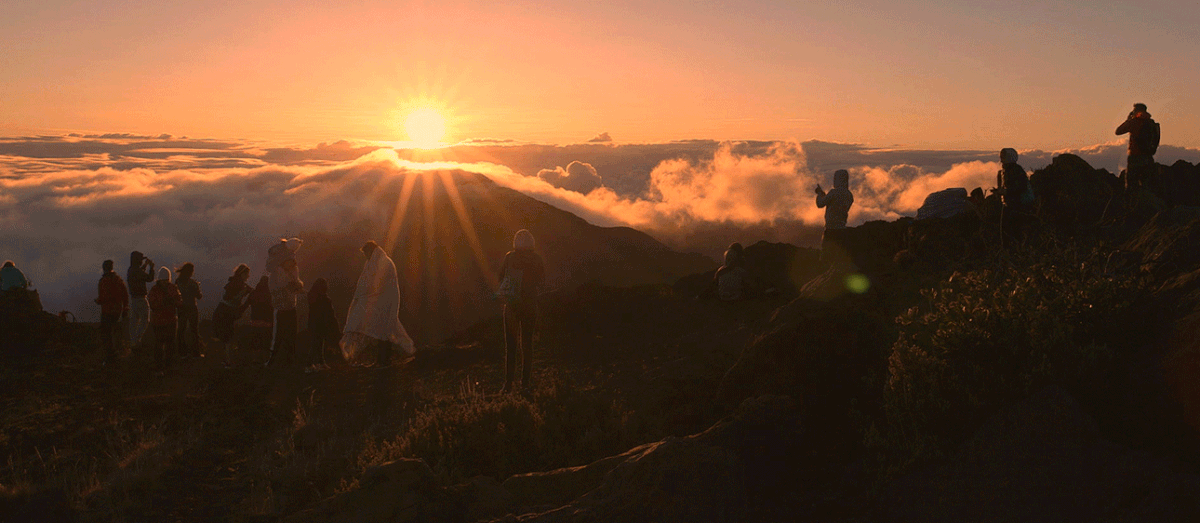 Before Sunrise GIF Find & Share on GIPHY