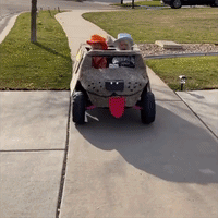 Twin Girls Nail Dumb and Dumber Halloween Costumes