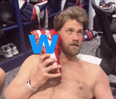 Bryce Harper GIF