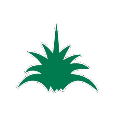 Oro de Oaxaca Sticker