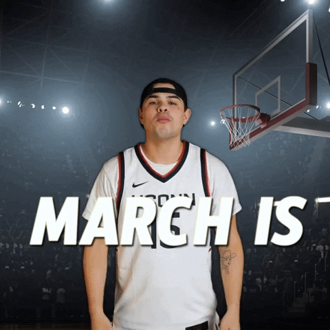 March Madness Hoops GIF by Basketball Madness