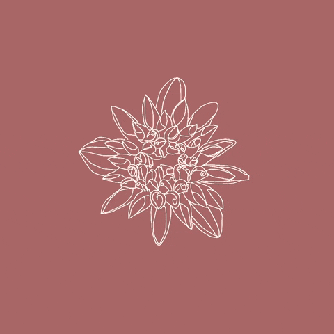 Nature GIF