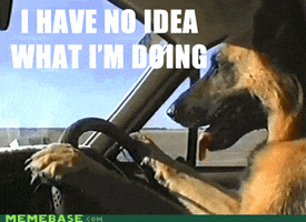 i have no idea what im doing driving GIF by Cheezburger