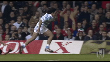 Celebrate Argentina Rugby GIF by Rugby World Cup