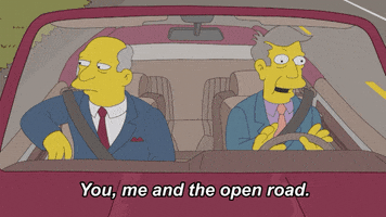 Driving The Simpsons GIF by AniDom