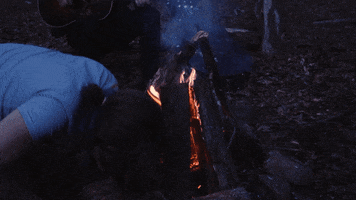 200.gif?cid=fc005b08e2649a39075dd18aff101bf2e1faf732d2ca9b14&rid=200.gif&ct=g