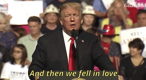 Donald Trump GIF