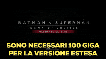 gif_gif batman superman bluray italia GIF