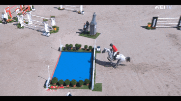 Jumping European Championship GIF by FEI Global