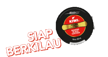 New Shoes Sticker by Kiwi Shoe Care