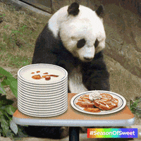apple panda GIF