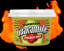 YucatanGuac fire mexico chile flame GIF