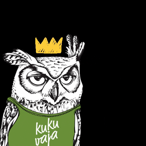 Kukuvaja king owl eule kukuvaja GIF