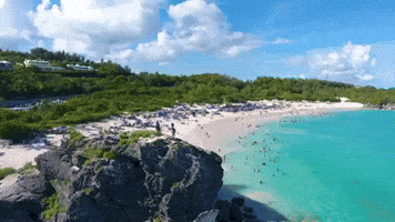 Bermuda Beaches GIF by Bermemes