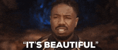 Erikkillmonger Blackpanther Itsbeautiful GIF