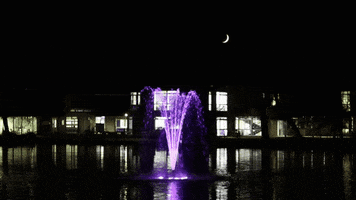 Moon Campus GIF by University of York