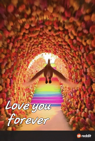 Love You Forever GIF