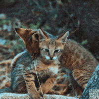 Fuimos-amigos GIFs - Get the best GIF on GIPHY