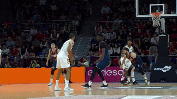 Real Madrid Basketball GIF by ACB