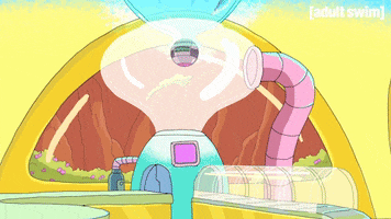 Season 1 Episode 107 GIF by Rick and Morty