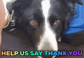 200.gif?cid=fc005b08a5333c2cb298b533afab96defc71b9a6ac312137&rid=200.gif&ct=g