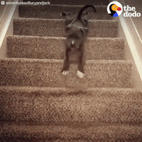 200.gif?cid=fc005b089b140f769c26acc1fde63638b703516a0e14df5d&rid=200.gif&ct=g