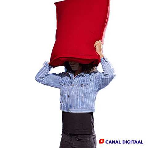 Soccer No GIF by Canal Digitaal