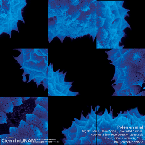 Fotografã­A Mujeresenlaciencia GIF