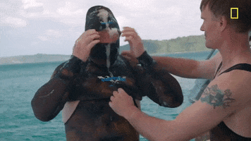 Gordon Ramsay Wetsuit GIF by National Geographic Channel