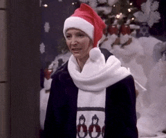 Mad Season 5 GIF by Friends