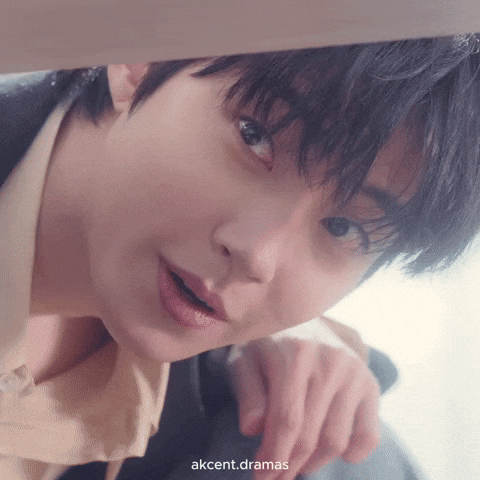 Akcent48 GIF