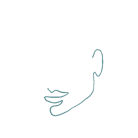 Face Sticker